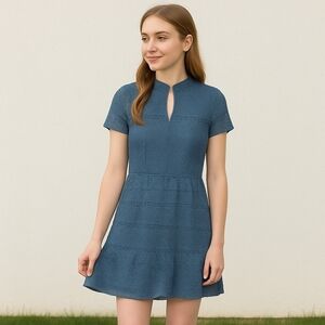 Francesca’s Blue Lace Fit & Flare Dress Size Small | Short Sleeve Overlay